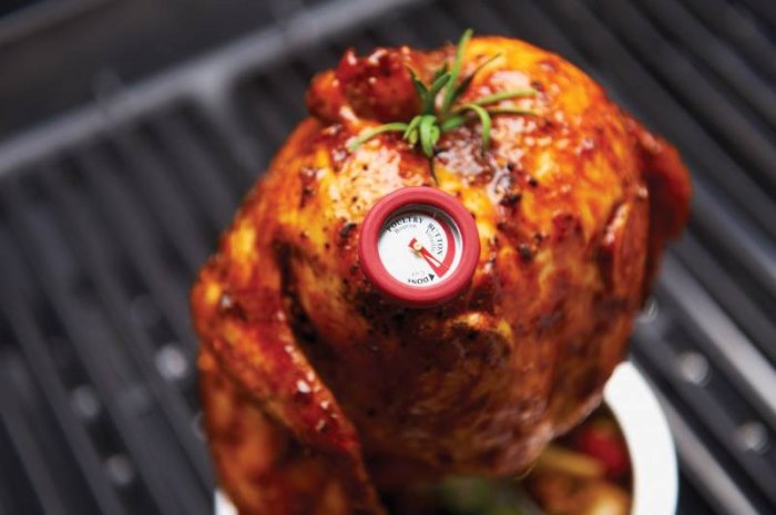 Einfach und funktionell – das analoge Einstechthermometer von Broil King speziell für Hühnchen und Rindfleisch im Set