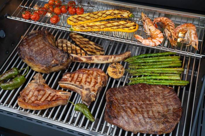 Grillfürst Independence P530E Einbau Gasgrill
