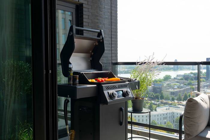 Napoleon Elektrogill Rogue EQ 365 mit 2 Heizelementen