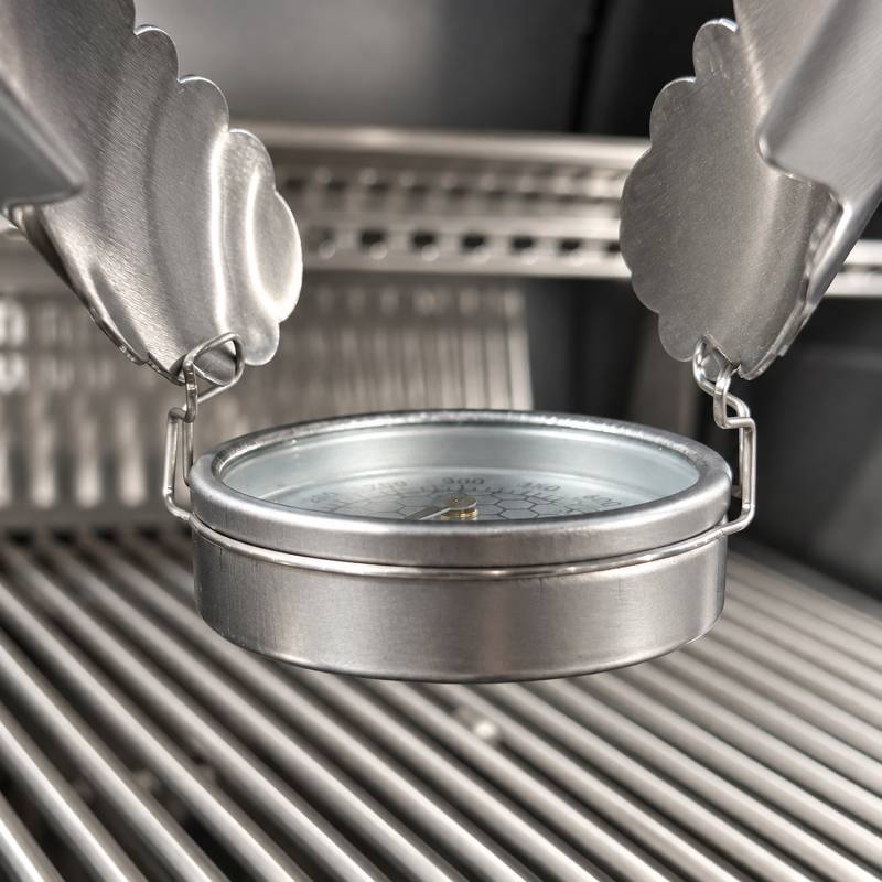 Grillfürst Grillrost Thermometer - bis 550°C