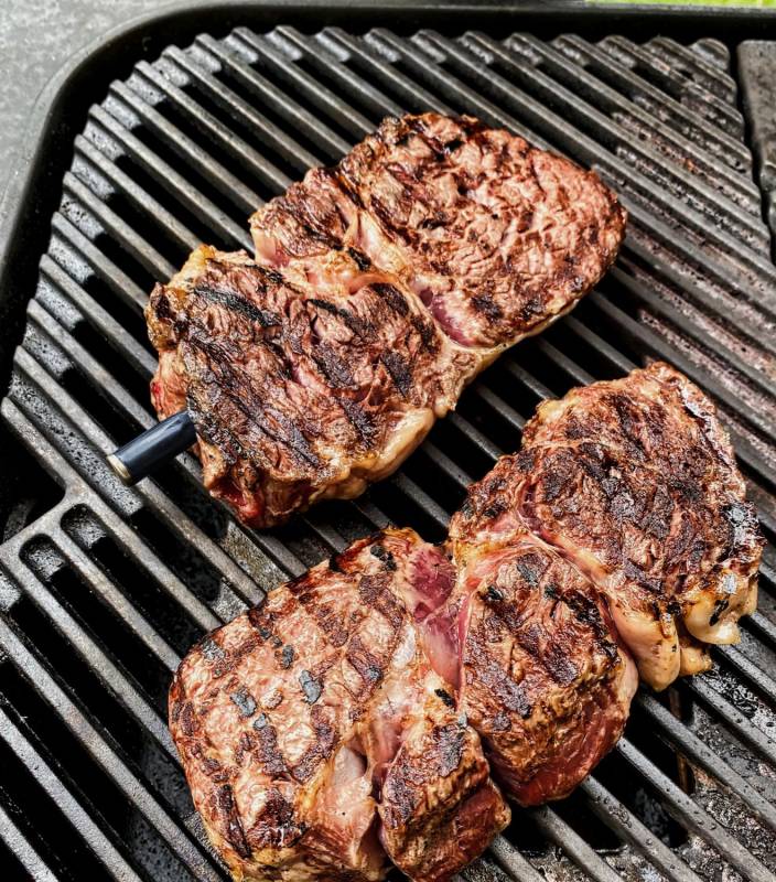 The MeatStick CHEF - WLAN / Bluetooth Grillthermometer in rot