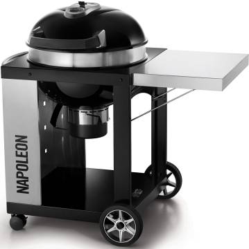 Napoleon Holzkohlegrill